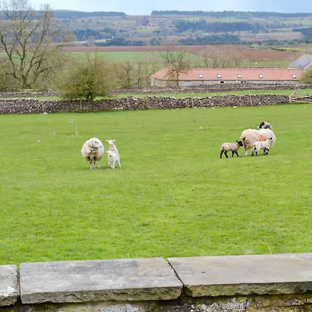 Manor Old Byland